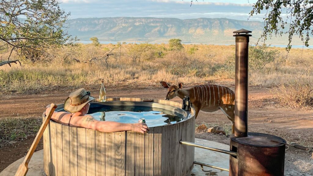 AfriCamps at White Elephant Safaris